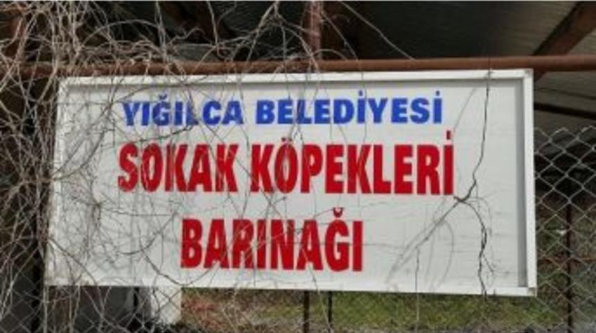 Başkan Muzaffer Yiğit&rsquo;ten &Ouml;rnek &Ccedil;alışma