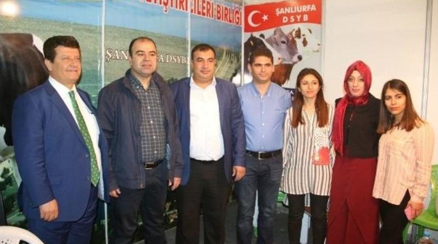 Nihat &Ccedil;ift&ccedil;i, Gıda Tarım Ve Hayvancılık Fuarını Gezdi