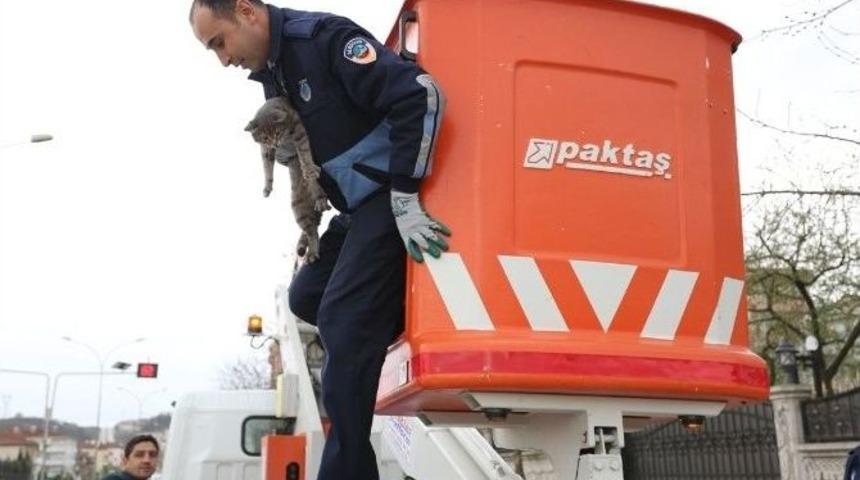 Serdivan Belediyesi Zabıta Ekiplerinden Kurtarma Operasyonu