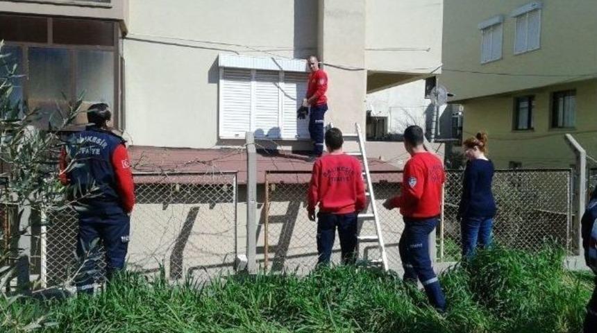 İtfaiyeden Kedi Kurtarma Operasyonu