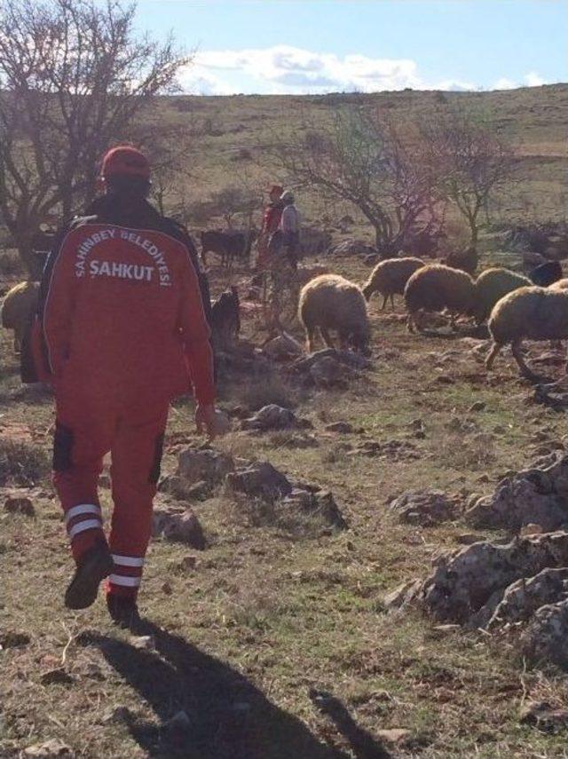 Şahkut Arama Kurtarma Çalışmalarına Katıldı