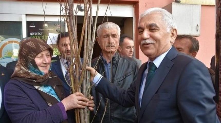 &Ccedil;ift&ccedil;ilere 11 Bin Meyve Fidanı Dağıtıldı