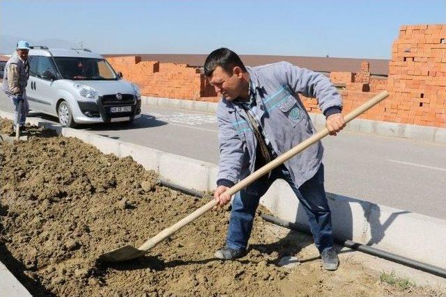 Eski Manisa Yolu Büyükşehirle Çiçek Açtı