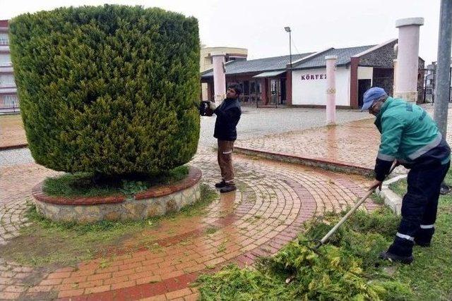 Aliağa’da Ağaçlar Budanıyor