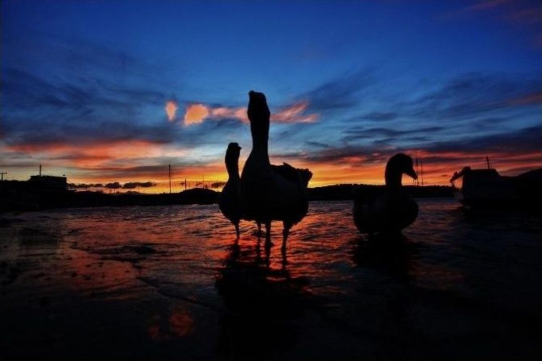 Bodrum&rsquo;da G&uuml;nbatımı Renkleri B&uuml;y&uuml;l&uuml;yor