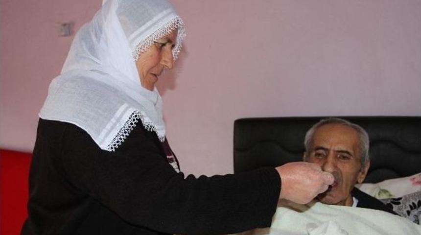 (&ouml;zel Haber) &Ouml;mr&uuml;n&uuml; Ailesine Adadı