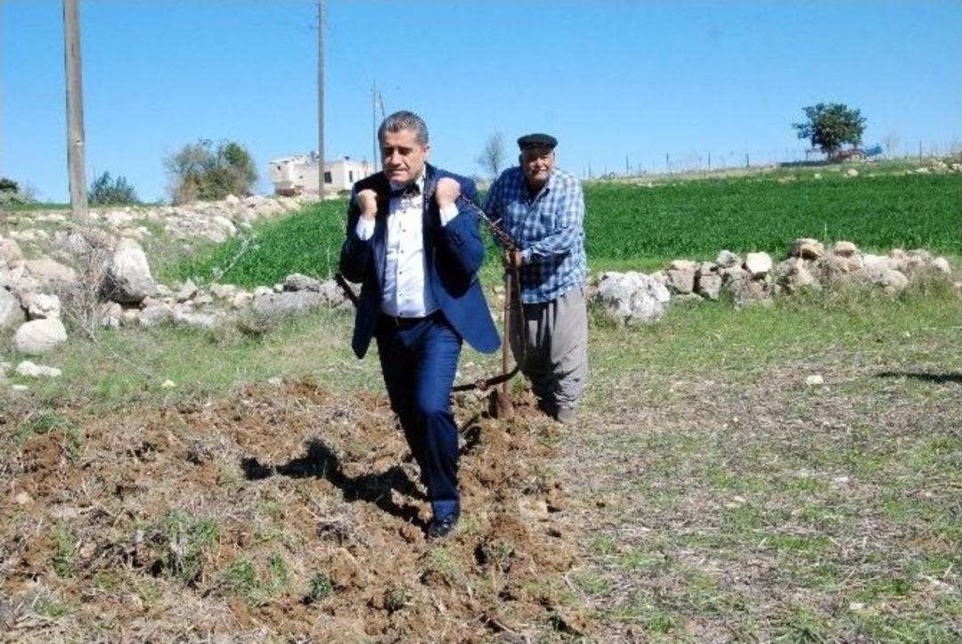 Aydın Aydın, Kara Sabana Koşulup Tarla S&uuml;rd&uuml;