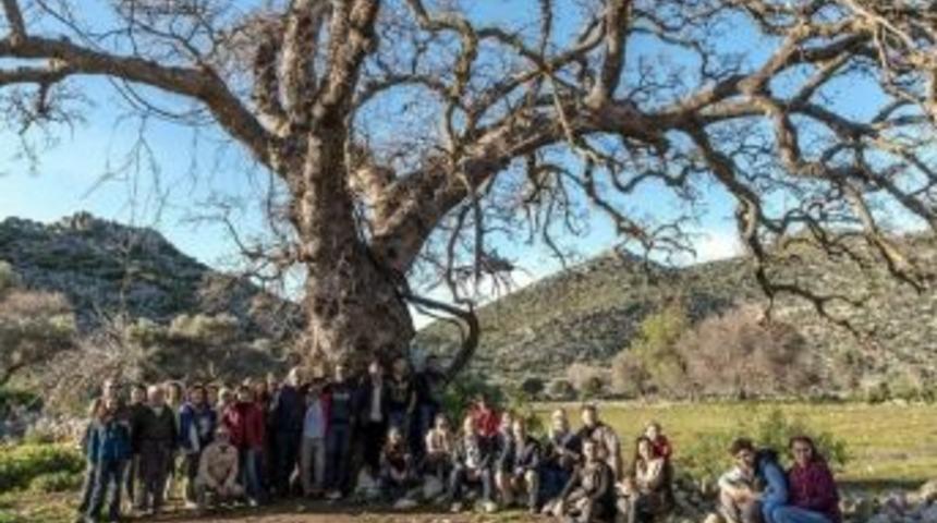 Dat&ccedil;a Ve Bozburun&rsquo;da Birlikten Kuvvet Doğuyor