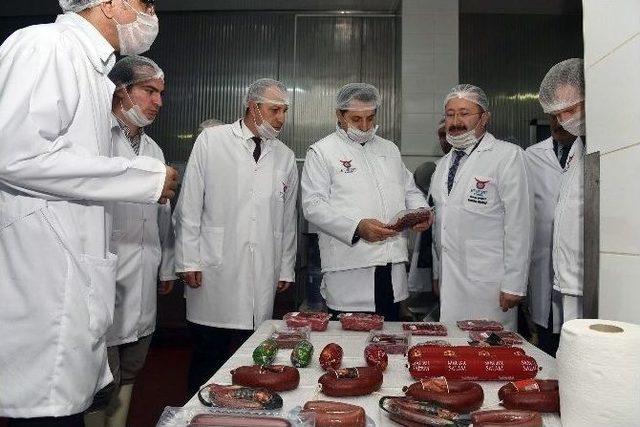 Bakan &Ccedil;elik, Esk Sincan Kombina M&uuml;d&uuml;rl&uuml;ğ&uuml;&rsquo;n&uuml; Ziyaret Etti 1
