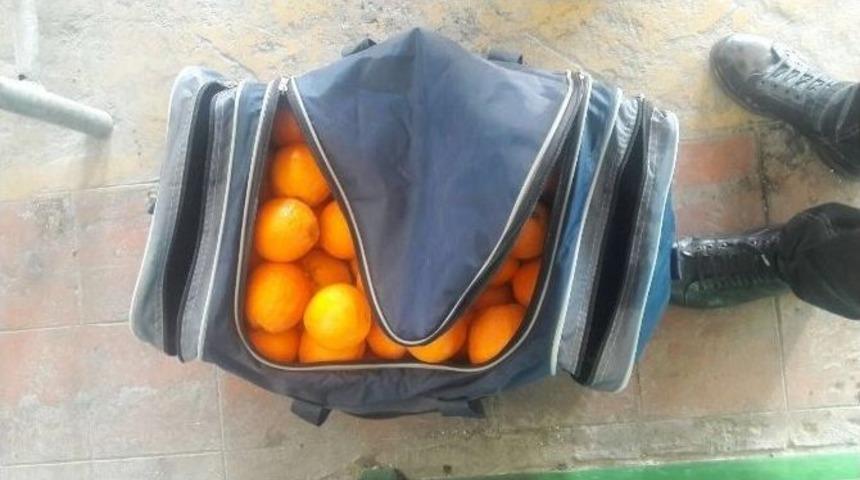 Ş&uuml;pheli &Ccedil;antadan Portakal &Ccedil;ıktı