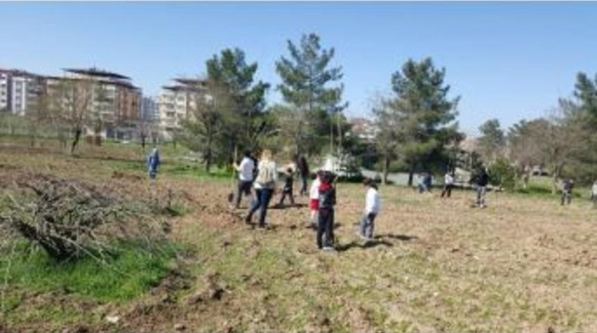 Ted&rsquo;li &Ouml;ğrenciler Fidan Dikti