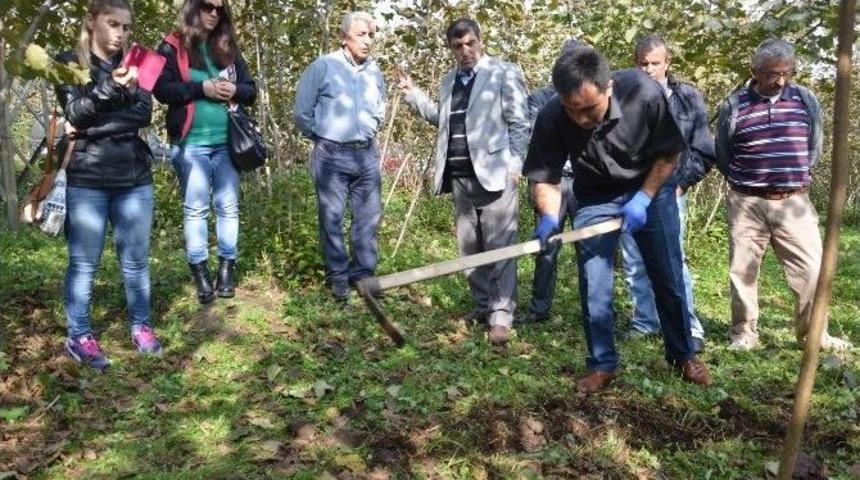 Yılmaz: "g&uuml;bre Zamanında Ve Dozunda Kullanılmalı"