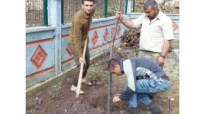 Okul Bah&ccedil;esi K&ouml;yl&uuml;lerin Yardımı İle Yeşillenecek