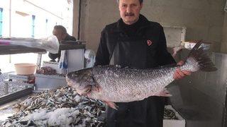 Dev Minekop Görenleri Şaşırttı