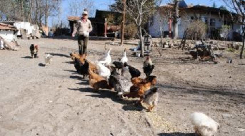 &rsquo;kadınlar G&uuml;n&uuml;&rsquo; İtalya&rsquo;ya Taşındı