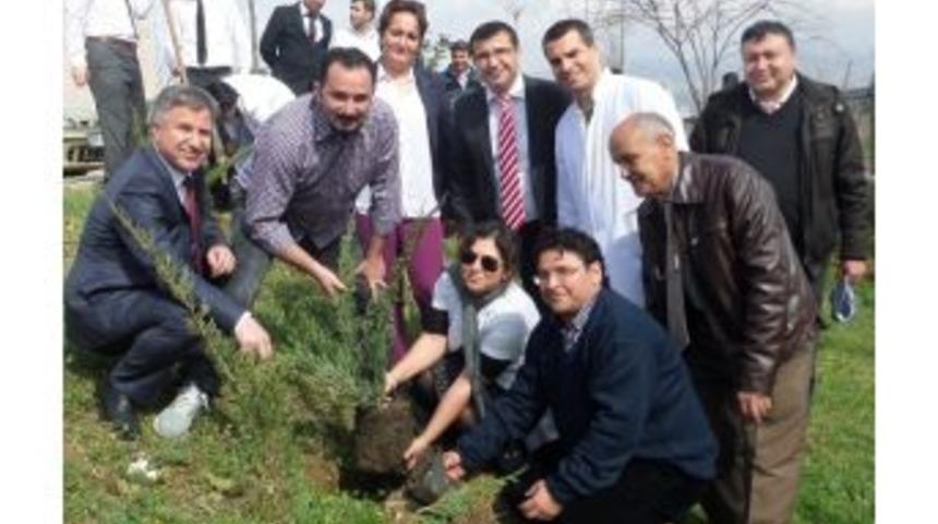 Alaşehir Devlet Hastanesi&rsquo;nde &rsquo;ağacına Sahip &Ccedil;ık&rsquo; Kampanyası