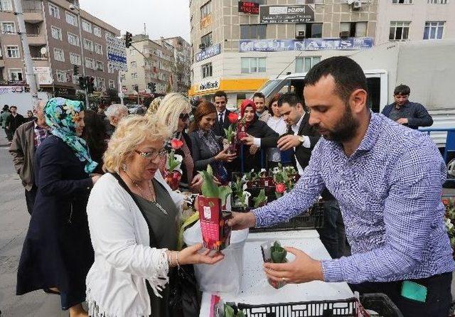 Tramvaya Binen Kadınlara Lale Sürprizi