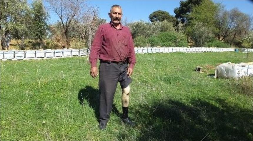 Burhaniye&rsquo;de Engelli Adil &Ouml;rnek Arıcı Oldu