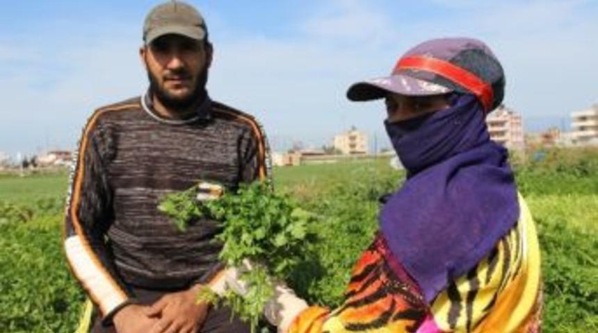 Eşinin Kadınlar G&uuml;n&uuml;&rsquo;n&uuml; Bir Bağ Maydanozla Kutladı