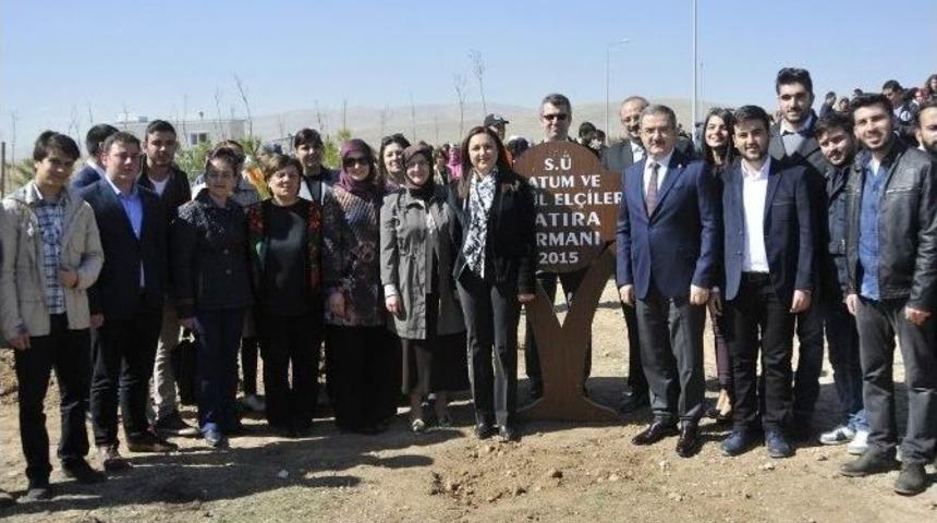 Sel&ccedil;uk&rsquo;ta Bin 41 Fidan Toprakla Buluştu