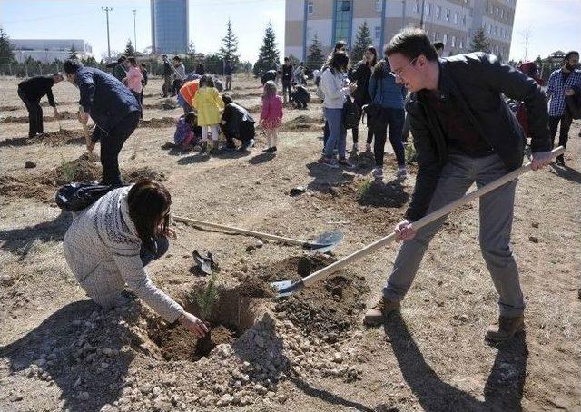 Selçuk’ta Bin 41 Fidan Toprakla Buluştu