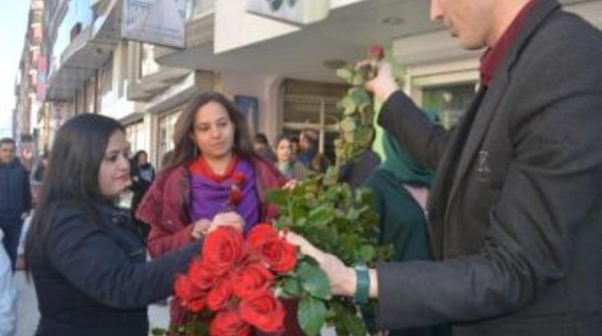 Hakkari&rsquo;de 3 Bin 500 Karanfil Ve G&uuml;l Dağıtıldı