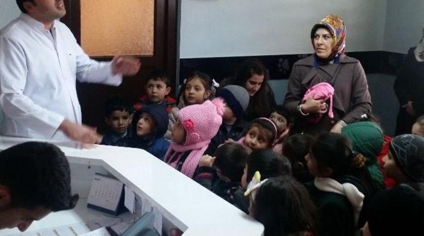 Hayvan Bakım Evi&rsquo;nin Minik Misafirleri