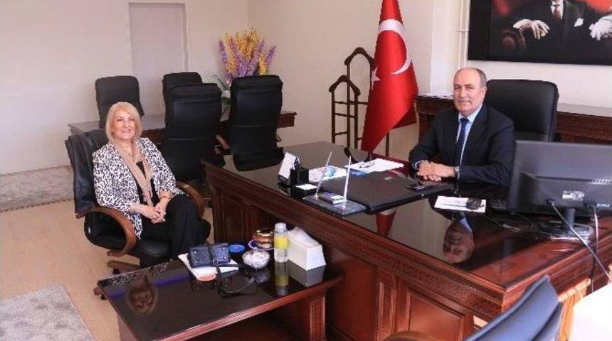 Silikozis Hastalarının &Ccedil;ilesi Bitmiyor