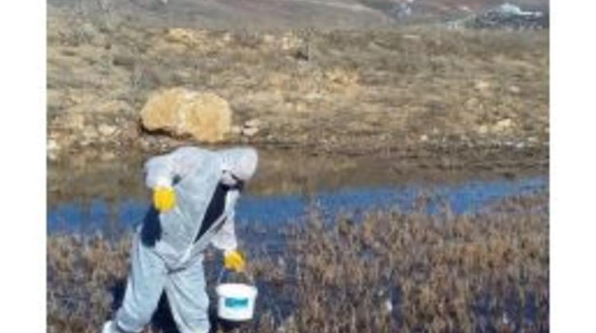 Bayburt Belediyesi&rsquo;nden Larva M&uuml;cadelesi