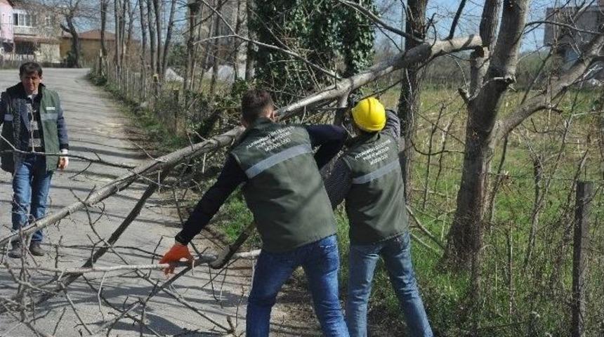 Yol Kenarlarına Temizlik