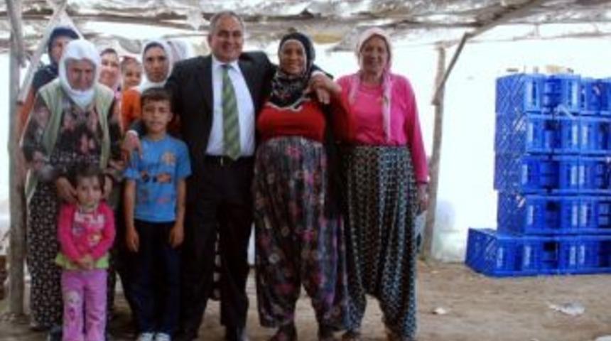 Başkan Tollu, Kadınların G&uuml;n&uuml;n&uuml; Kutladı