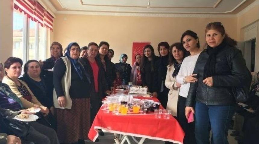 Chp&rsquo;liler Sungurlu&rsquo;da Kadınlara Karanfil Dağıttı