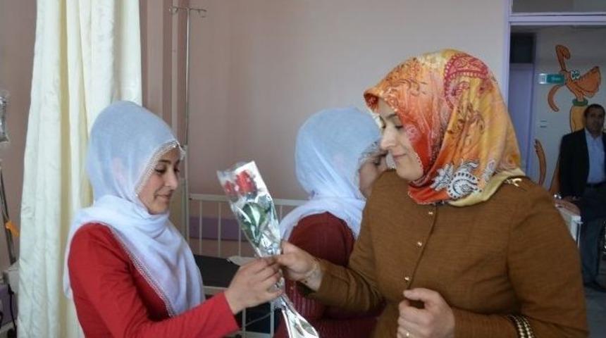 Adilcevaz&rsquo;da Kadınlar G&uuml;n&uuml; Etkinliği