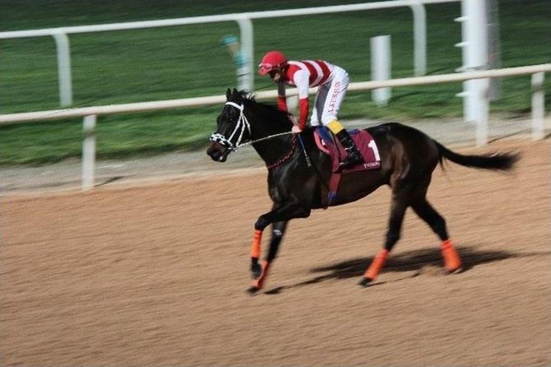 &Ouml;zgecan Aslan Koşusu&rsquo;nu &lsquo;duquan&rsquo; Kazandı