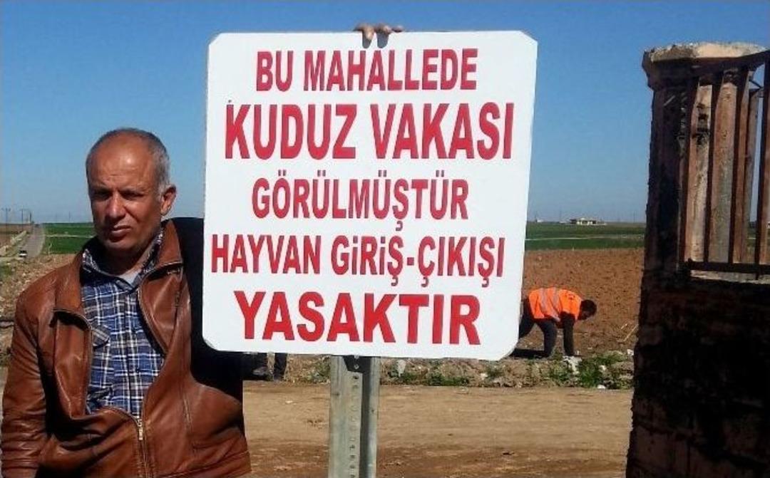 Ceylanpınar&rsquo;da Kuduz Vakası