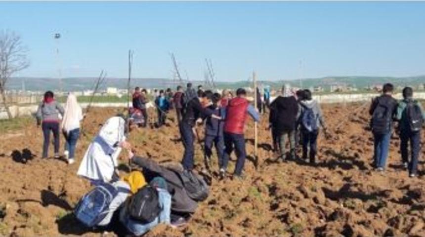 &Ouml;ğretmen Ve &Ouml;ğrenciler Fidan Dikti