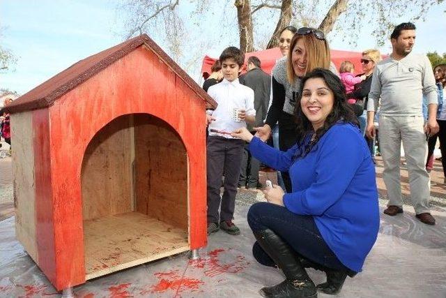 Mayder’den Kedi, Köpek Ve Kuş Evleri