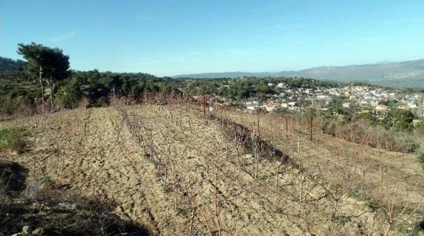 Ak Parti&rsquo;li Erdem, Yağışlar G&ouml;letinin Tamir Edilmesini İstedi