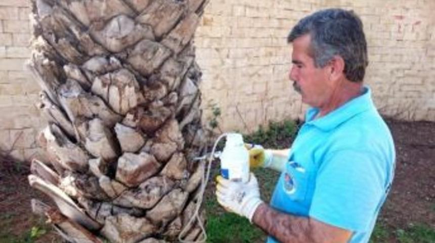 B&uuml;y&uuml;kşehir Belediyesi&rsquo;nden Ağa&ccedil;lara Enjeksiyonlu Koruma