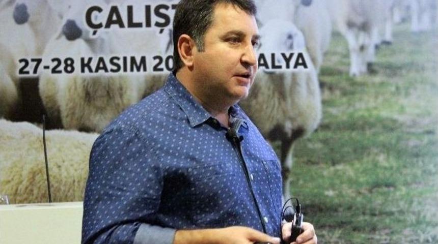 &Ccedil;anakkale İli Damızlık Koyun Ke&ccedil;i Yetiştiricileri Başkanı Savran: &ldquo;t&uuml;ketici 9 Tl&rsquo;ye S&uuml;t İ&ccedil;iyor Ama &Uuml;retici Kazanmıyor&rdquo;