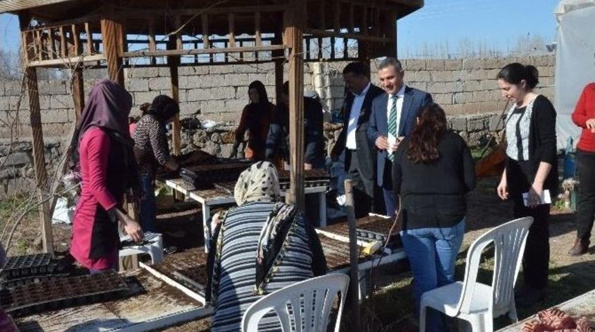 Iğdır &Ccedil;i&ccedil;eklerle Donatılacak