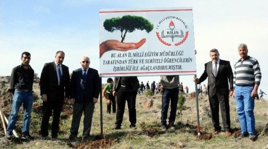 Ensar Ve Muhacir &Ouml;ğrenciler Birlikte Ağa&ccedil; Dikti