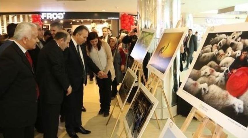 Vali Fidan Fotoğraf Ve Resim Sergisi A&ccedil;tı