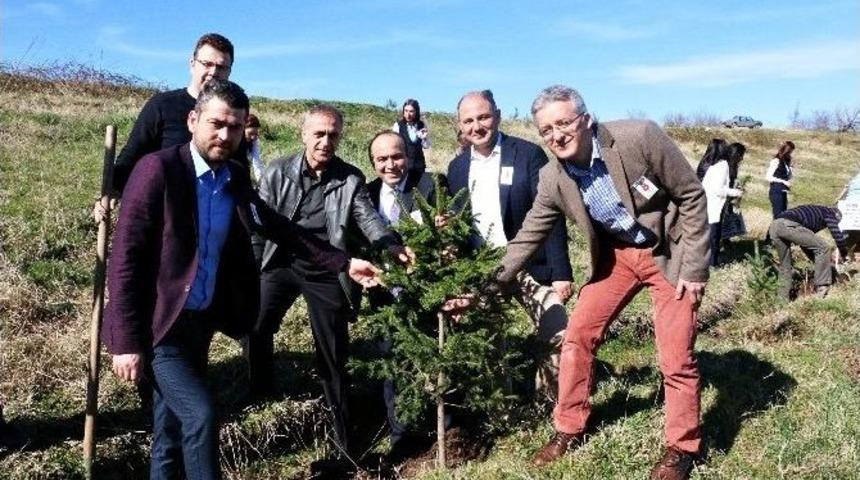 Dr. Dağdemir Adına Hatıra Ormanı