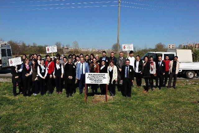 Dr. Dağdemir Adına Hatıra Ormanı