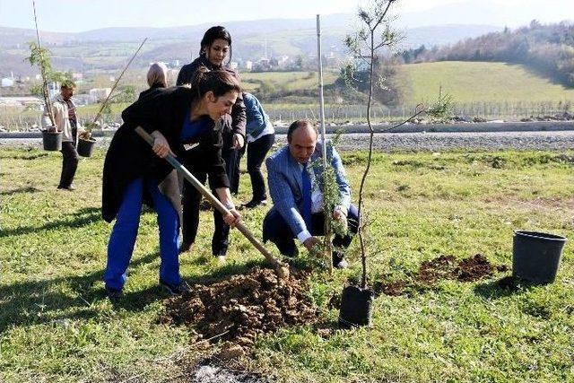 Dr. Dağdemir Adına Hatıra Ormanı