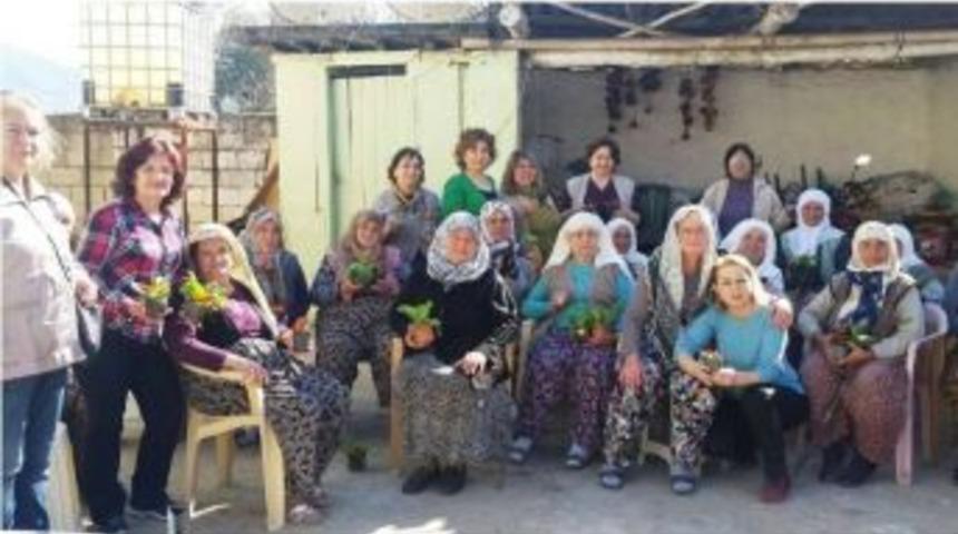 Chp &Ouml;demiş Kadın Kollarından 8 Mart Ziyareti