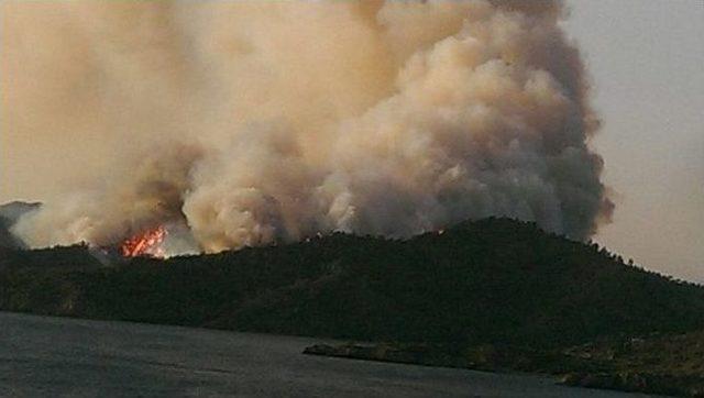 Marmaris’teki Orman Yangını Söndürülemiyor