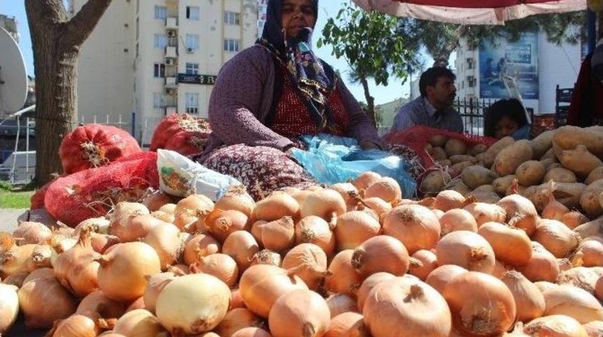 Don Soğanı, Soğan Cüzdanı Yaktı