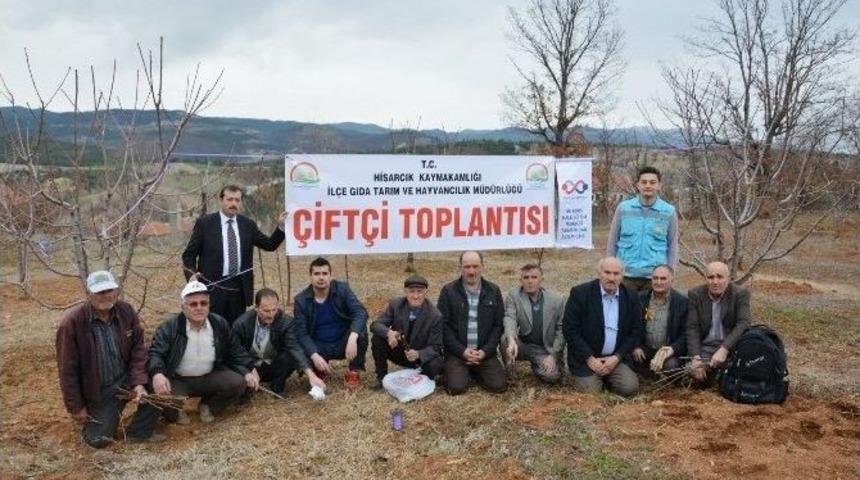 &Uuml;reticilere Uygulamalı Budama Ve Aşılama Eğitimi